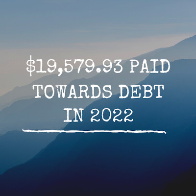 payoff snapshot - total debt paid year to date payoff snapshot - total debt paid year to date